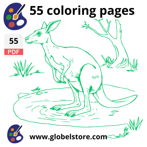 Coloring picture kangaroo